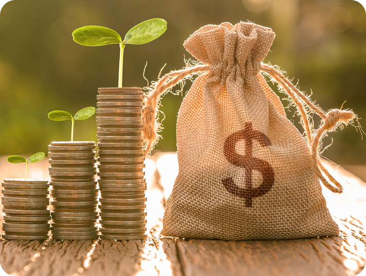 Performance Investisseur